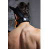 Breedwell Masque Poundtown Pup Breedwell Noir-Orange